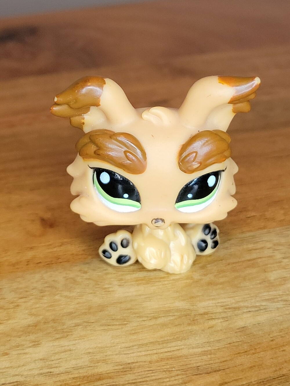 Hasbro Littlest Pet Shop (LPS) Yorkshire Terrier Figure Toy #1016